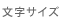 文字サイズを変更