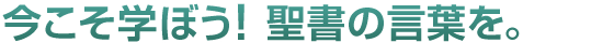 今こそ学ぼう！聖書の言葉を。｜聖書の言葉をあなたへ